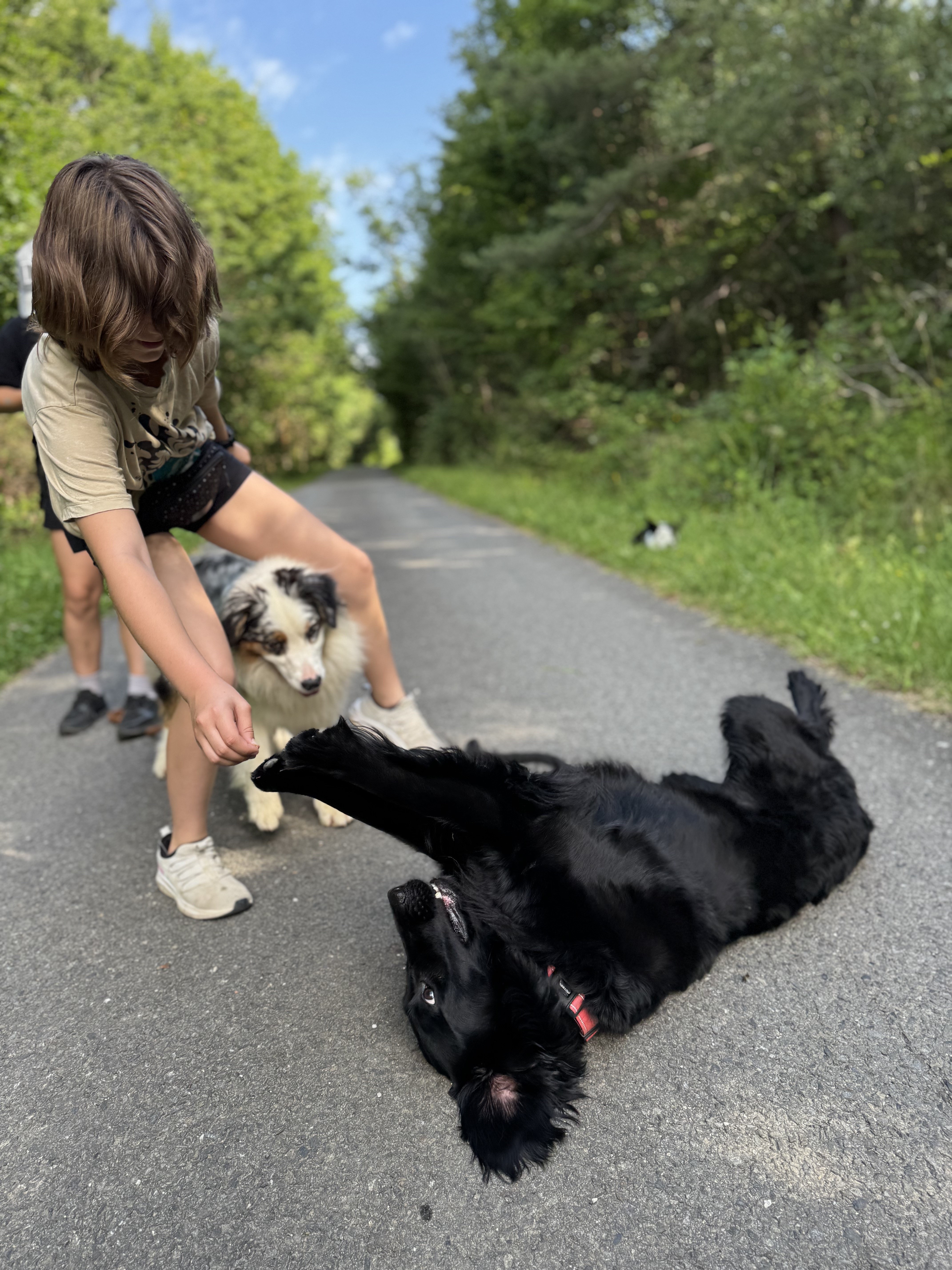 🐶 PŘÍMĚSTSKÝ TÁBOR SE PSY 